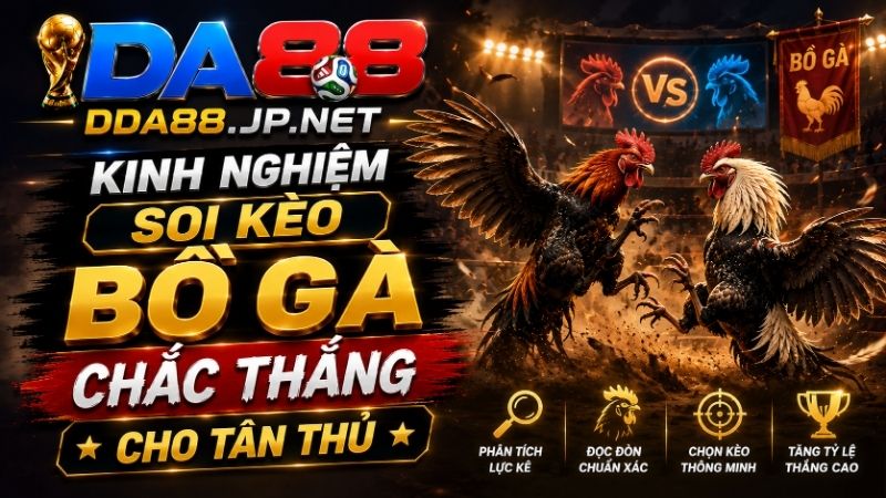 Kinh Nghiệm Soi Kèo Bồ Gà Chắc Thắng Cho Tân Thủ