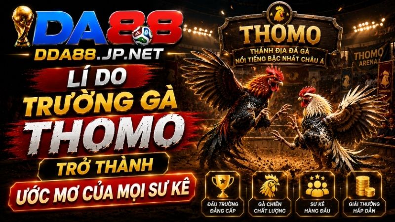 Lí Do Trường Gà Thomo Trở Thành Ước Mơ Của Mọi Sư Kê